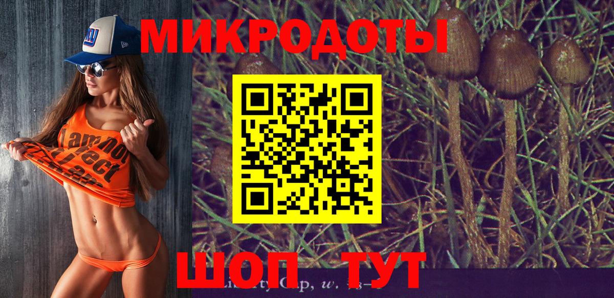 Псилоцибиновые грибы мухоморы Солнечногорск