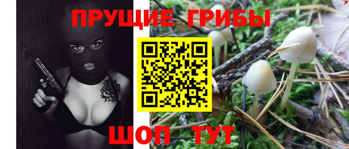 Солнечногорск  Галлюциногенные грибы Psilocybe  Вход с VPN  Псилоцибиновые грибы GOLDEN TEACHER 